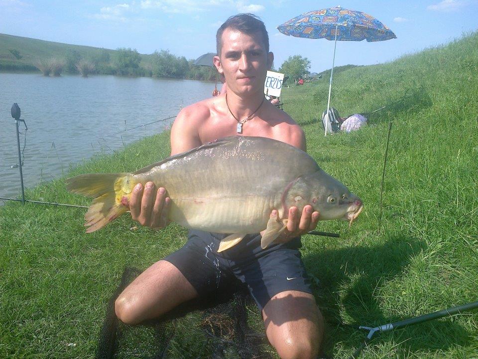 Sustra 2012 jud Timis